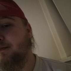 Bleidd