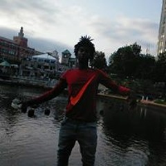 trilla only palm tree head