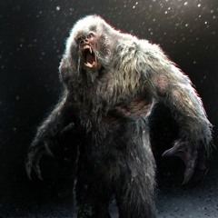Basic Yeti