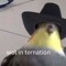 ToxicSpawnPeeker