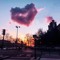 bassem_rdwan