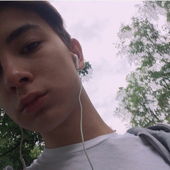 Тимур Литвинов