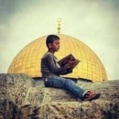 fayz