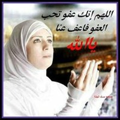 haidy