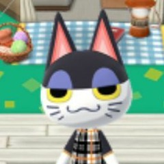 scaredy cat