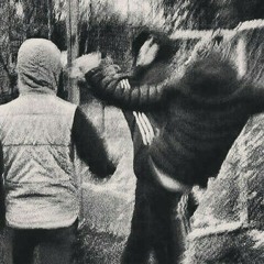 Паша Воробйов