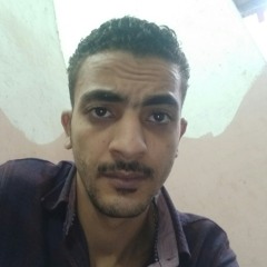 Mohamed Adel Aly