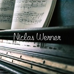 Niclas Werner