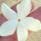 Ghada