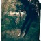 Henrique