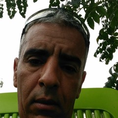 zazou 83
