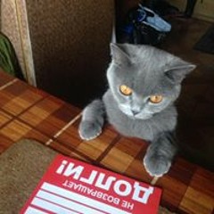 Stepan  Platov