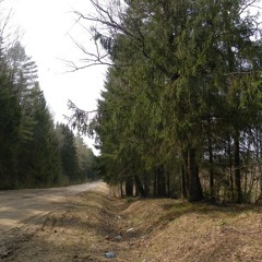 Drus Morin