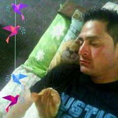 lokal