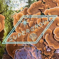Supergroup