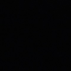 باسم الكربلائي