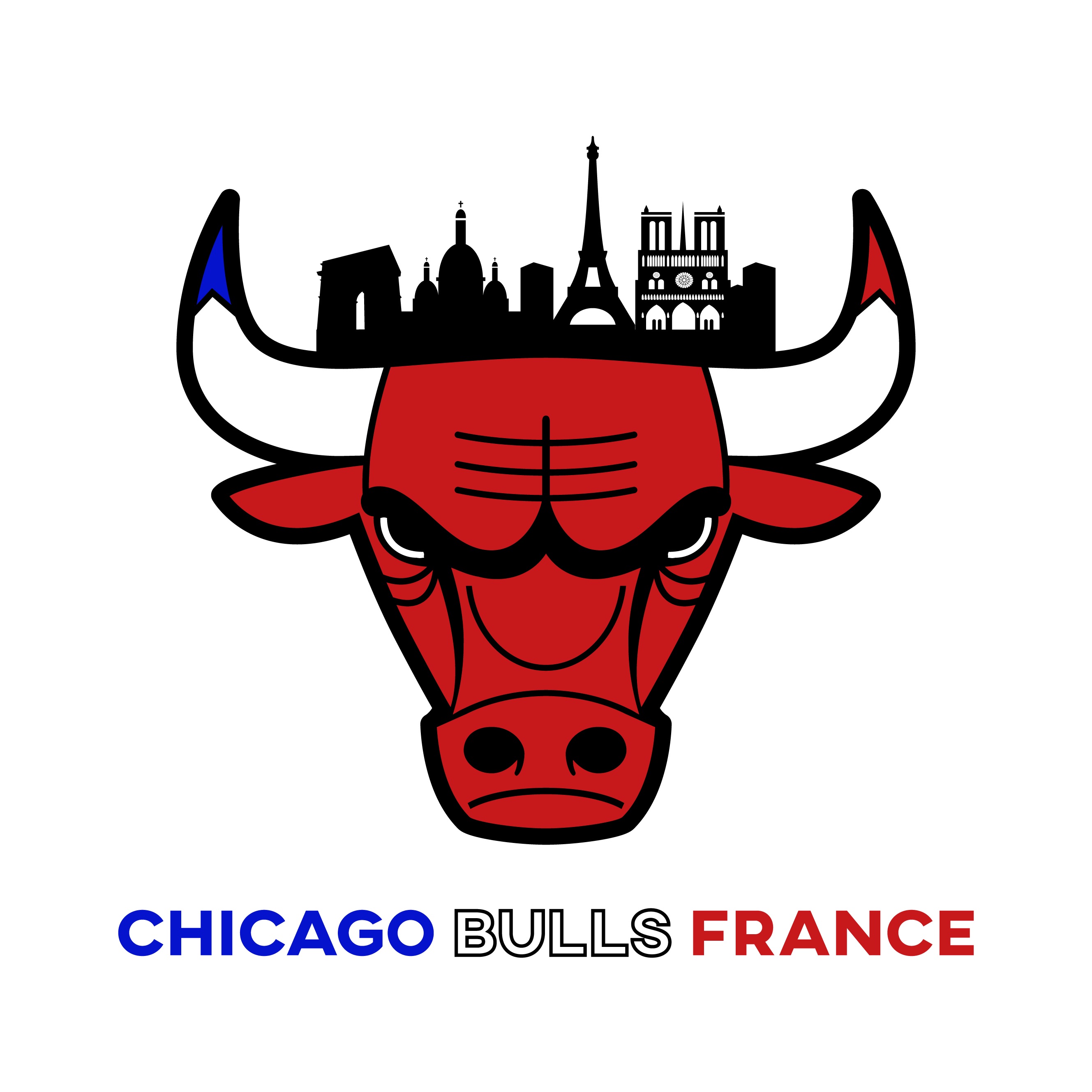 Bulls france
