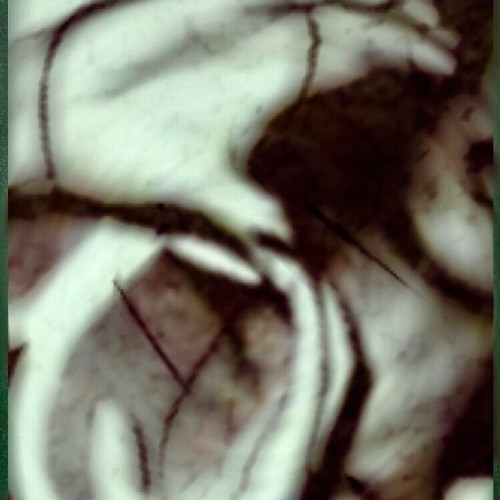 Stream Secret Signals Music Listen To Songs Albums Playlists For