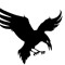 the ravens world