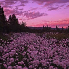 ФРЕНДЗОНА - Пурпурное Небо