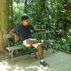 Victor Silvestre S