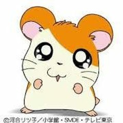 yuki059