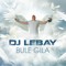 DJ Lebay