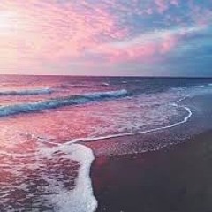 nadinealb