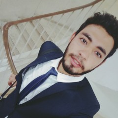 Mahmoud Omar Hegazy
