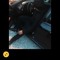 user890189376