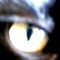 User 19582107