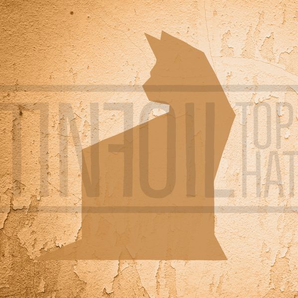 Tin Foil Top Hat podcast artwork