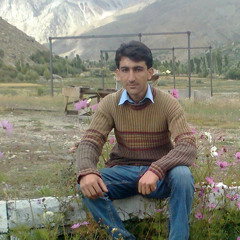 Syed Rahim Ali Shah