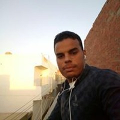 محمد رضا الجزار