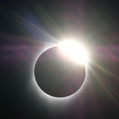 Alchemy Creative Co.