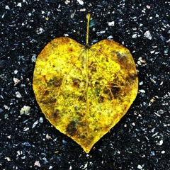 Story of Today / Brian Hinson Music