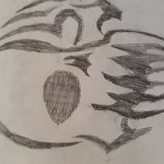ZOOM PRO