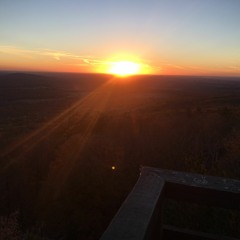 Annemarie Hoogendijk