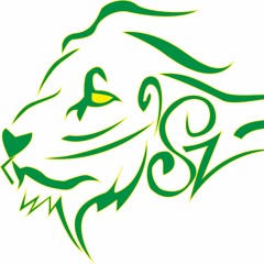 SALVADOR SOUL ZYSTEM