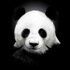 Han Bao