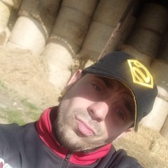 vinsbgs