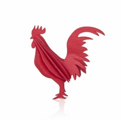 𝙍𝙊𝙊𝙎𝙏𝙀𝙍 𝙍𝙄𝘾𝙃𝘼𝙍𝘿