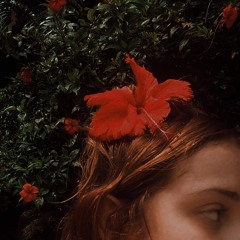 Isa Rothganger