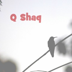 Q-Shaq