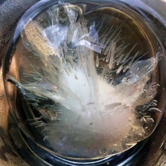 Ripple County Primary