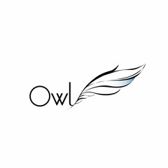 Owl Himmel