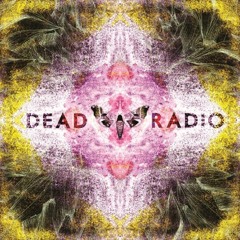 dead radio