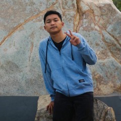 Ariff Avicii