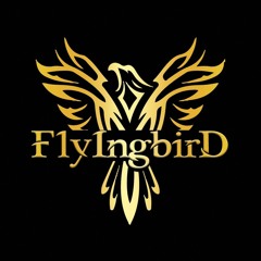 *FlyIngbirD*