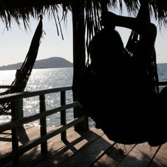 Maximillian Seligman